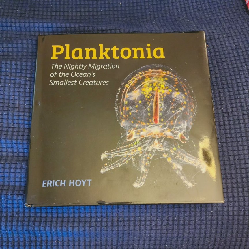 Books, Studying,  Panama